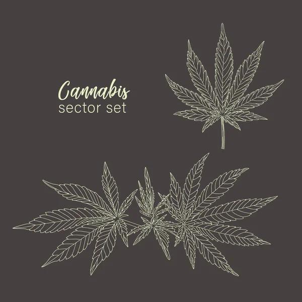 Kenevir, kenevir yaprağı ve sapları