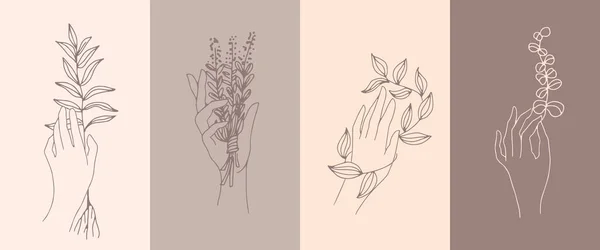 女性が植物と手を取り — ストックベクタ