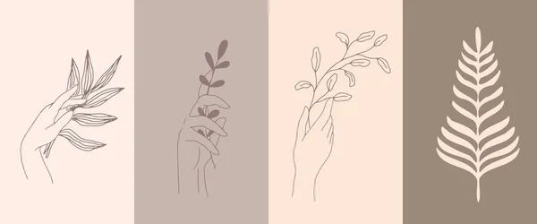 Eine Frauenhand mit einer Pflanze — Stockvektor