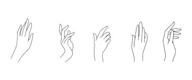 Collection of female hand gestures