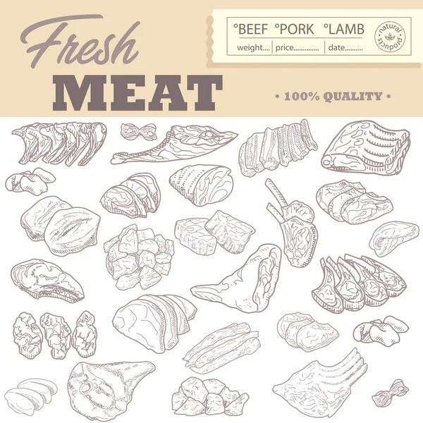 Coleção de carne crua em estilo de gravura vintage — Vetor de Stock