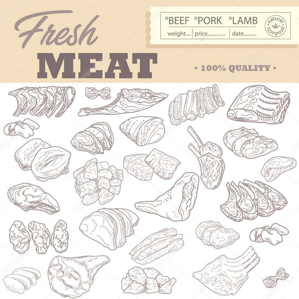 Collection of raw meat in vintage engraving style