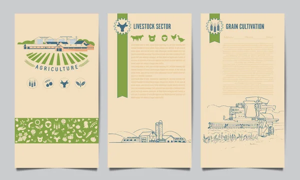 Colección de plantillas para folletos agrícolas con cosechadora, campos, granja Vector De Stock