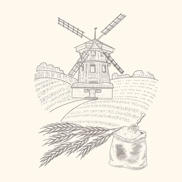 Molino de viento en el campo de trigo, espigas de trigo, una bolsa de grano grabado boceto Ilustraciones De Stock Sin Royalties Gratis