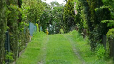 Eğlence bahçeleri arasında çimlerle açan bir patika.