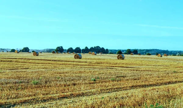 Rolled Hay Suburban Farmland — Stock Fotó