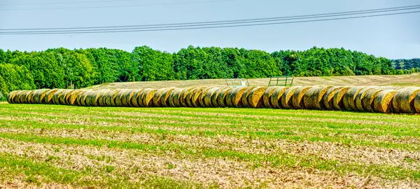 Rolled Hay Suburban Farmland —  Fotos de Stock