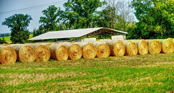 Rolled Hay Suburban Farmland — Stok fotoğraf