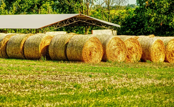 Rolled Hay Suburban Farmland —  Fotos de Stock