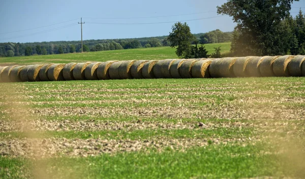 Rolled Hay Suburban Farmland — Fotografia de Stock