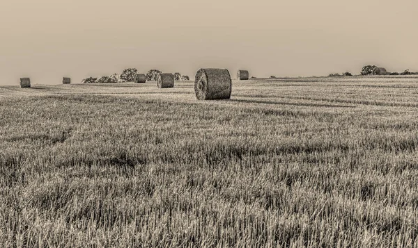 Rolled Hay Suburban Farmland — Stock Fotó