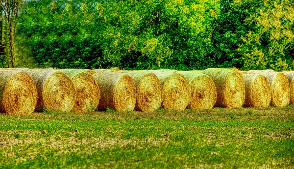 Rolled Hay Suburban Farmland — Stock Photo, Image