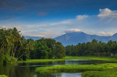 Bulutlu muhteşem bir dağ manzarası, doğal çay çiftliği dış seyahat arka planı. Güzellik dünyası.