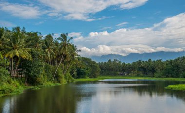 Bulutlu muhteşem bir dağ manzarası, doğal çay çiftliği dış seyahat arka planı. Güzellik dünyası.