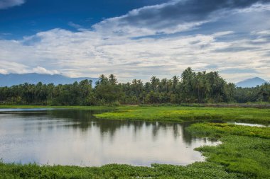 Bulutlu muhteşem bir dağ manzarası, doğal çay çiftliği dış seyahat arka planı. Güzellik dünyası.