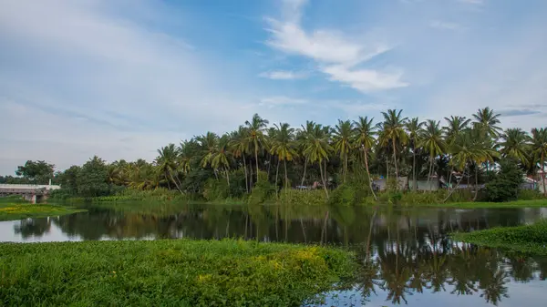 Bulutlu muhteşem bir dağ manzarası, doğal çay çiftliği dış seyahat arka planı. Güzellik dünyası.