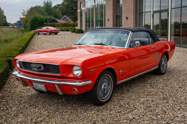 Brummen, Gelderland Eyaleti, Hollanda, 23.10.2021, Brummen Galerisi 'nde ilk nesil Ford Mustang.