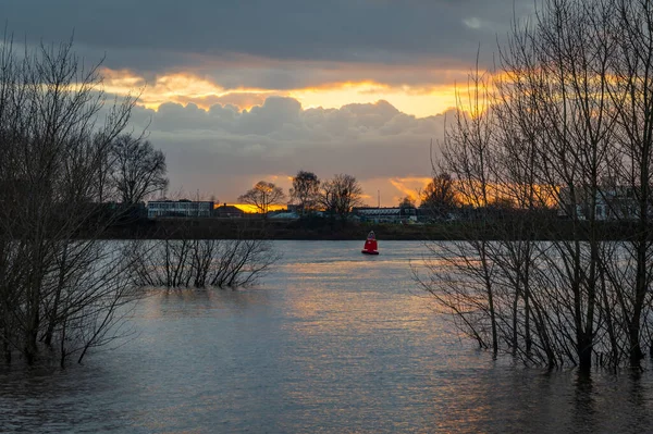 Winter Sunset Scene Dutch River Waal High Water Causing Minor — Stock Photo, Image
