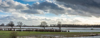 Fırtınalı bir günde Hollanda 'nın Gorinchem şehrinde Merwede nehri boyunca eski ağaçlarla dolu kış manzarası