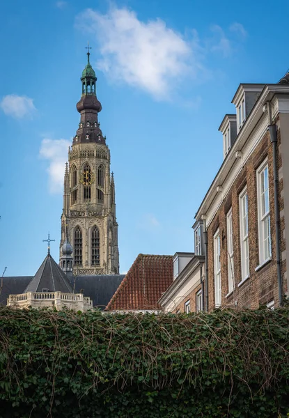 布雷达大教堂的塔 在当地被称为Grote Kerk 从附近的院子里可以看到 — 图库照片