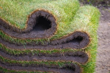 Taze çimen halı rulolarını kapatın.