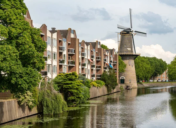 历史上有名的杜奇风车 Dutch Windmill Walvisch 位于南荷兰斯基丹市 — 图库照片