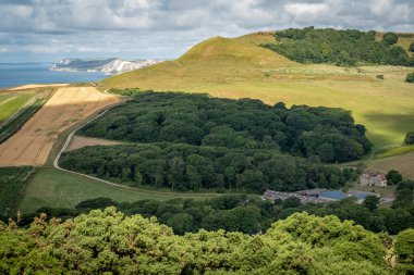 Güney Batı Sahil Yolu, Swyre Head Tepesi, Dorset