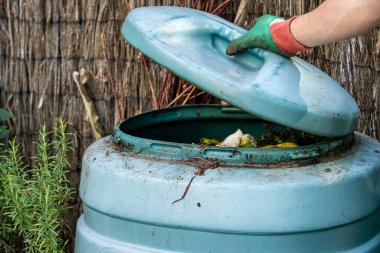 Detail of plastic compost bin with earthworms in small city garden with hand holding the lid, selective focus