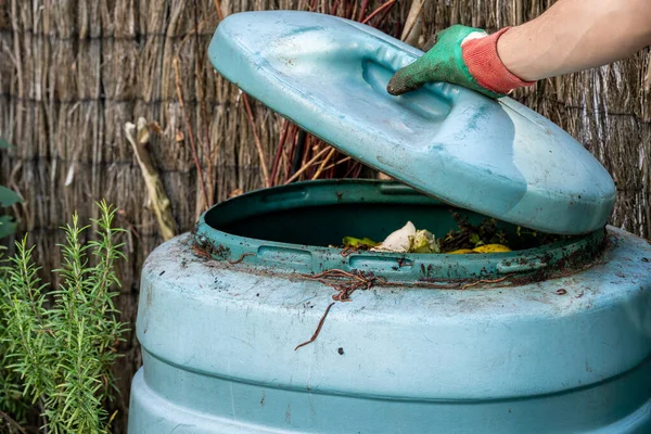 Detail of plastic compost bin with earthworms in small city garden with hand holding the lid, selective focus