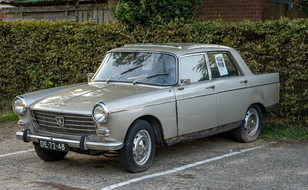 Amsterdam Nederländerna 2022 Sidovy Över Peugeot 404 Från 1968 Beige — Stockfoto