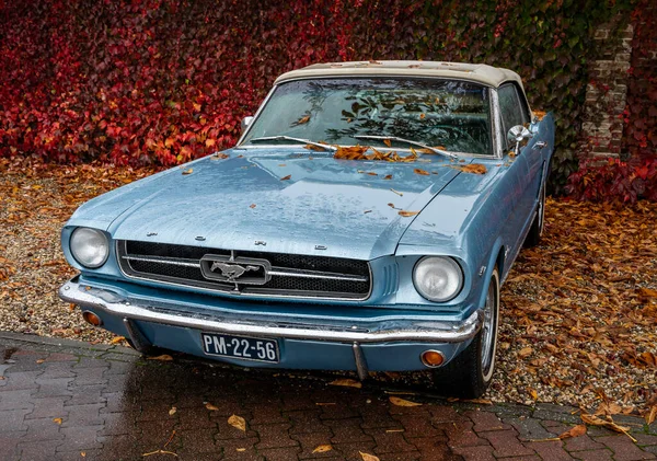 Brummen Province Gelderland Holanda 2022 Old Timer Ford Mustang Conversível — Fotografia de Stock