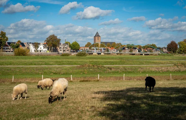 Nederländska Byn Dalfsen Provinsen Overijssel Landskap Med Kyrktorn Bro Över — Stockfoto