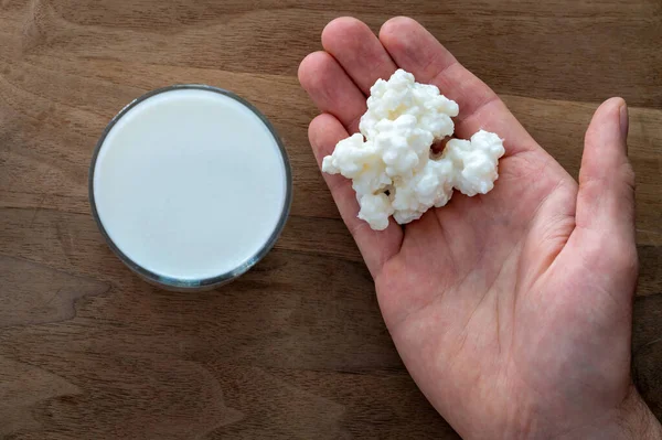 Tahta bir arka planda süt kefir taneleri, seçici odak