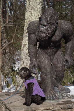 Norton, Virginia, ABD-02-01-2022: Kocaayak heykeli ve mor bir günde siyah altın renkli köpek yavrusu.