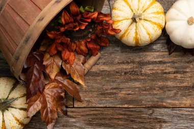 Kopya alanı ile sonbahar arkaplan kavramı. Barnwood arka planı sonbaharda ve balkabağı sepetten dökülüyor.. 