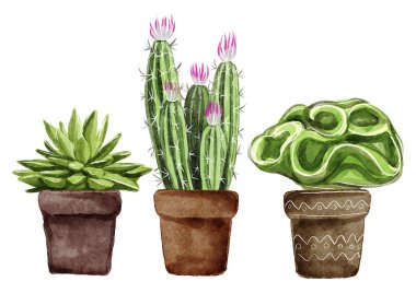 Suluboya Sulu Bitkiler Seramik Tencereler Çizim Seti