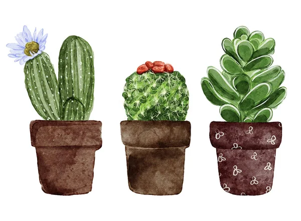 Suluboya Sulu Bitkiler Seramik Tencereler Çizim Seti