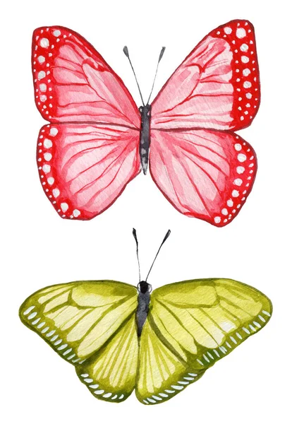 Suluboya El Renkli Kelebek Çizim Kümesi