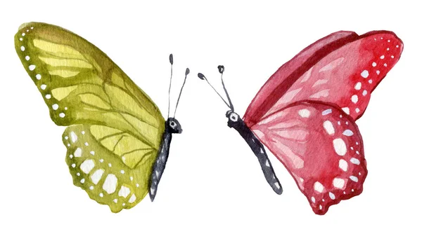 Acuarela Dibujado Mano Coloridas Mariposas Conjunto Ilustración — Foto de Stock