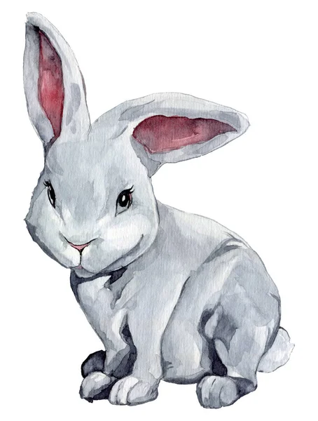 Watercolor Mão Desenhada Branco Cinza Fluffy Cartoon Bunny Ilustração — Fotografia de Stock