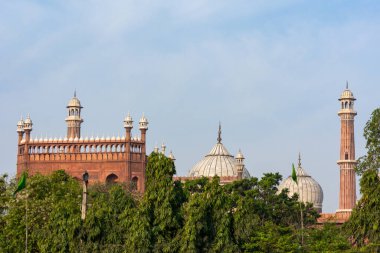 Jama Mescidi, Eski Delhi, Hindistan.