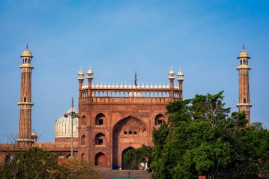 Jama Mescidi, Eski Delhi, Hindistan.