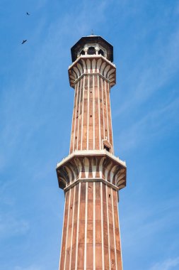 Jama Mescidi, Eski Delhi, Hindistan.