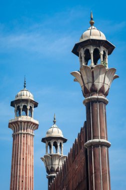 Jama Mescidi, Eski Delhi, Hindistan.