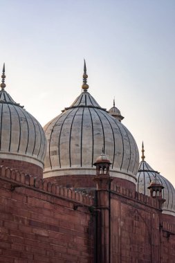 Jama Mescidi, Eski Delhi, Hindistan.