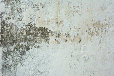 Closeup doku eski duvar arka plan