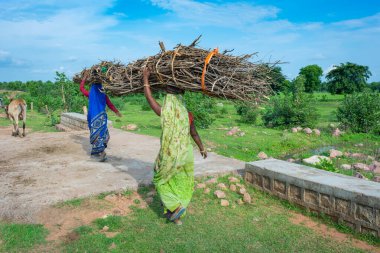TIKAMGARH, MADHYA PRADESH, Hindistan - 11 Ağustos 2022: Başında odun taşıyan kadınlar.