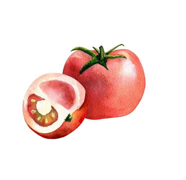 Akvarell Röd Tomat Vit Bakgrund — Stockfoto