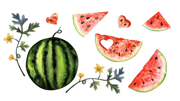 Watercolor Set Watermelon Watermelon Slices White Background — Stok fotoğraf