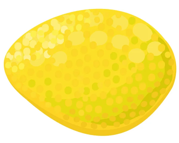 Vector Bright Isolated Illustration Lemon Fruit — Stock Vector